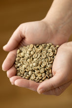 Load image into Gallery viewer, Coffee, raw, green, for home roasting
